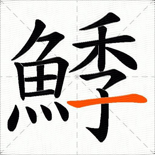 鯚