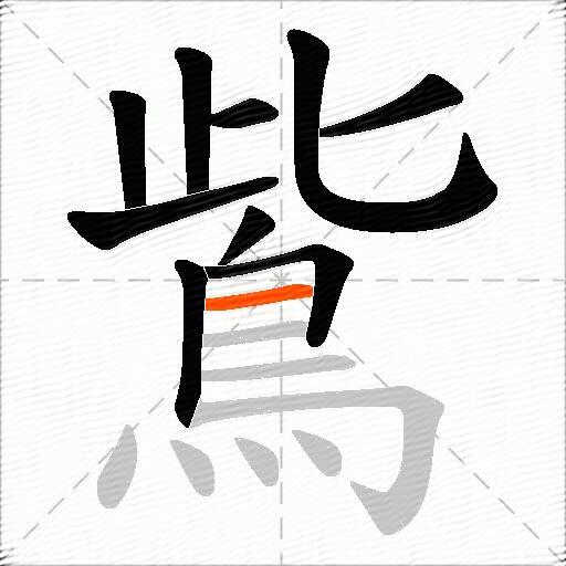 鴜