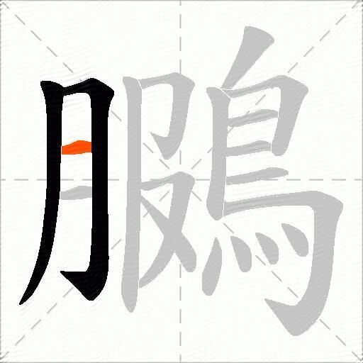 鵩