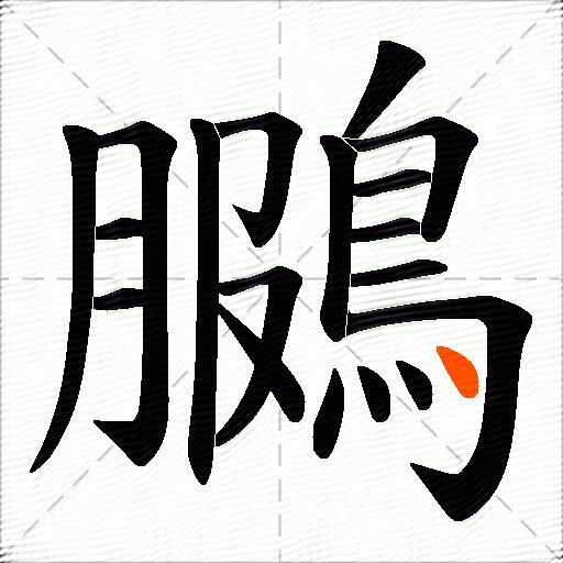 鵩