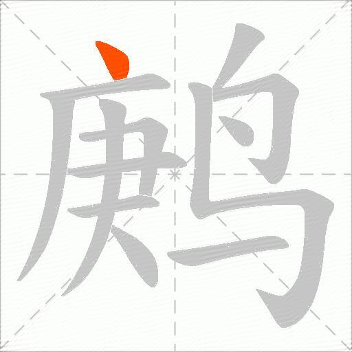 鹒