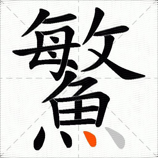 鰵