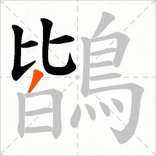 鶛