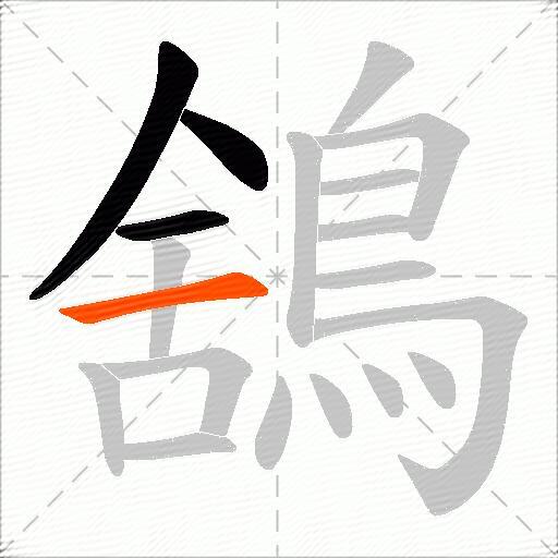 鵨