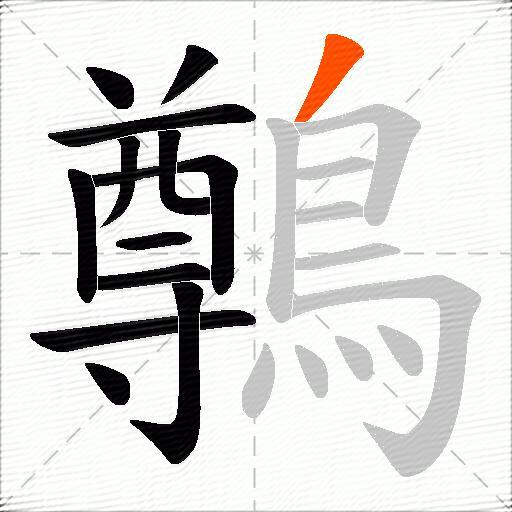 鷷