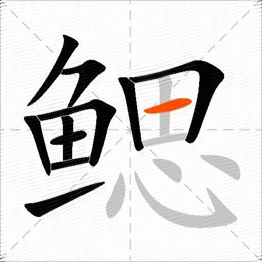鳃