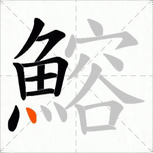 鰫