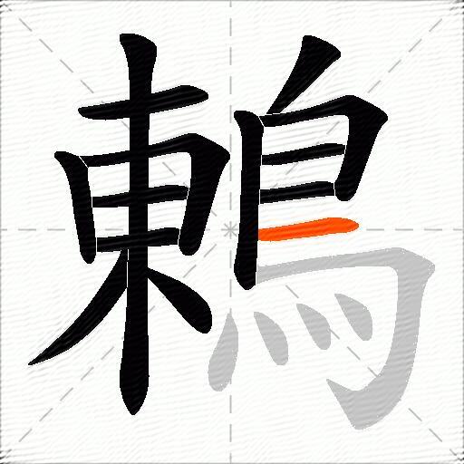 鶇