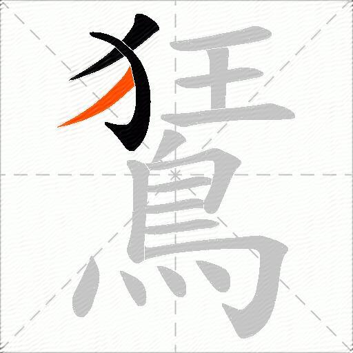 鵟