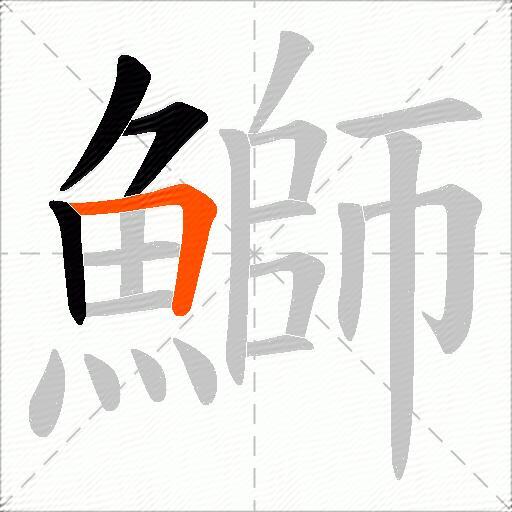 鰤
