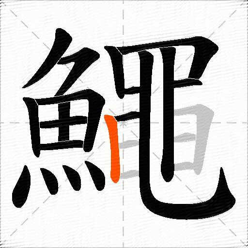 鱦