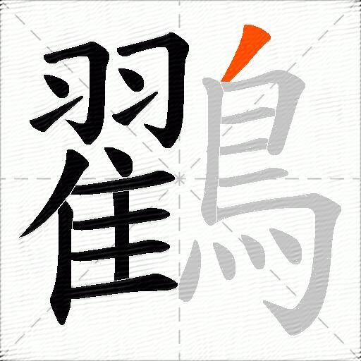 鸐