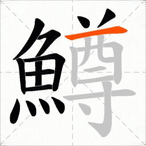 鱒
