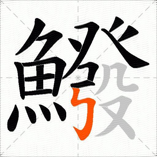 鱍