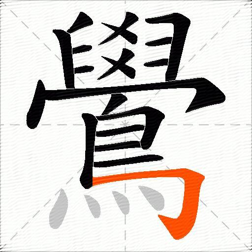 鷽