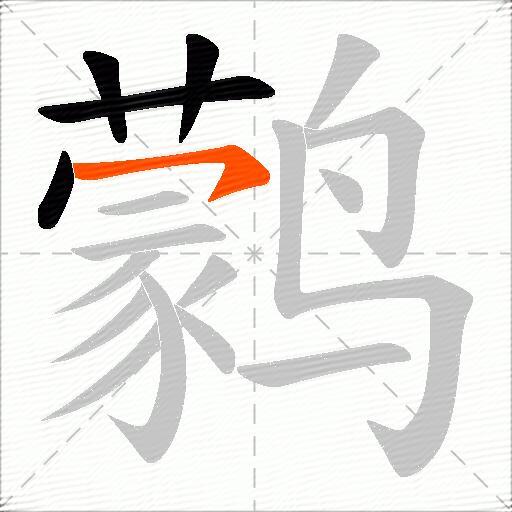 鹲