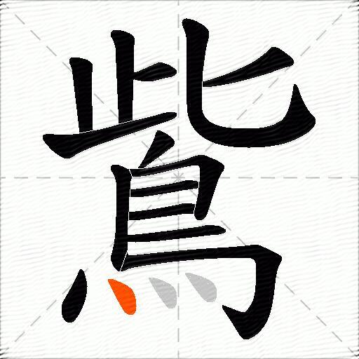 鴜