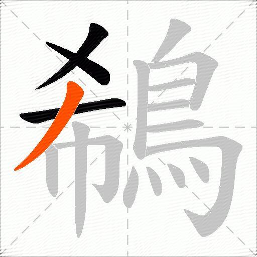 鵗