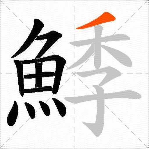 鯚