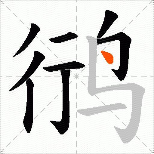 鸻