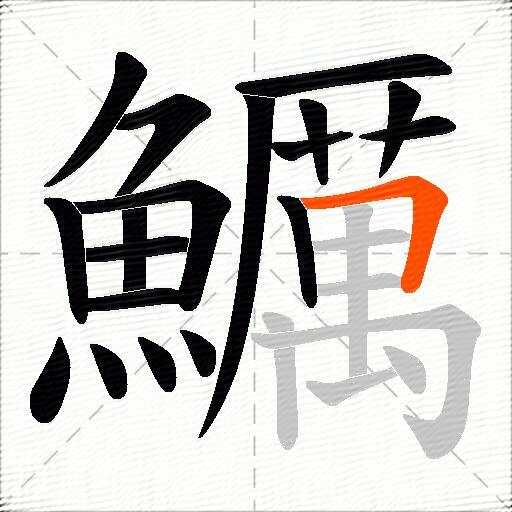 鱱