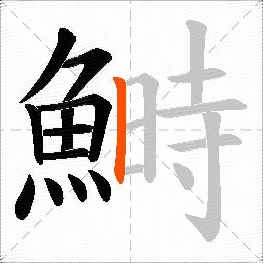 鰣