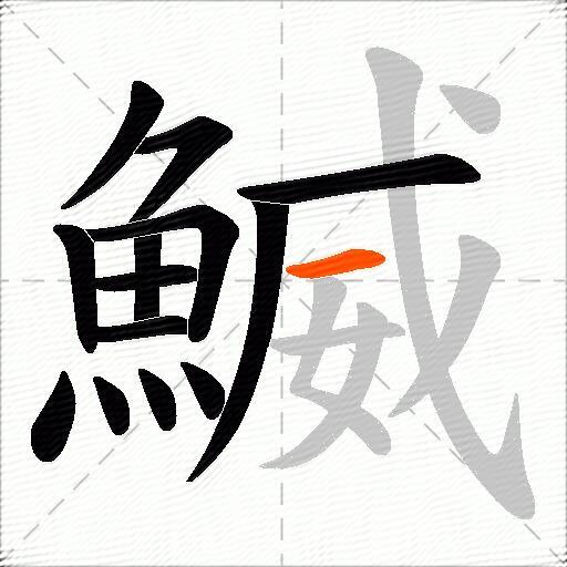 鰄
