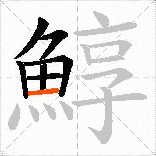 鯙