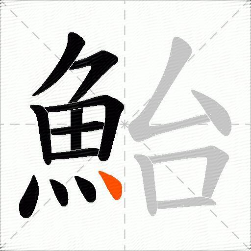 鮐