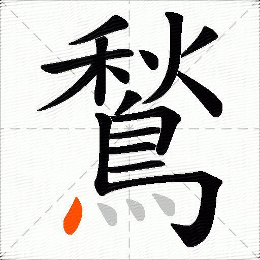 鶖