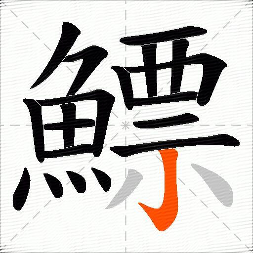 鰾