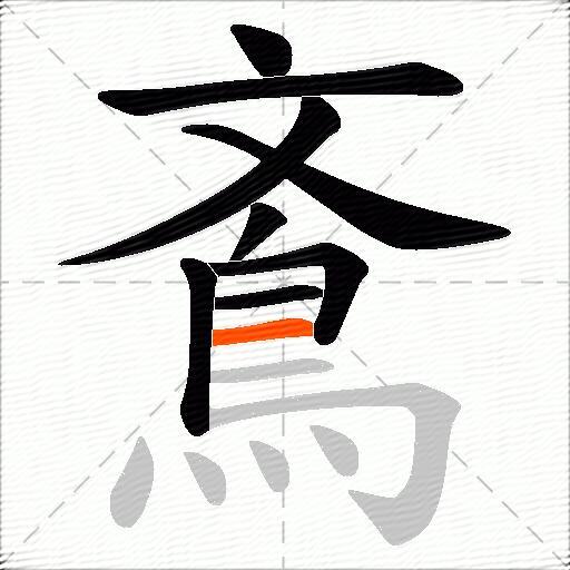 鴍