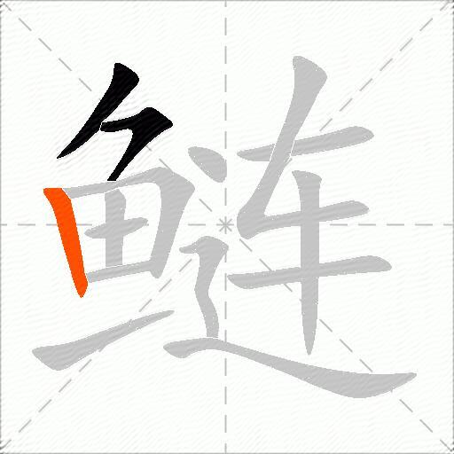 鲢