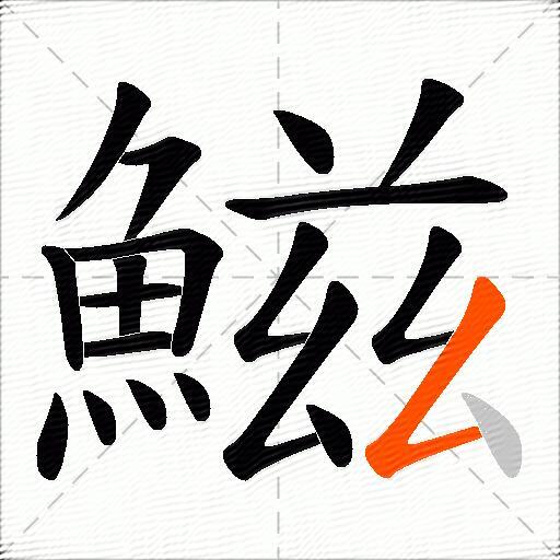 鰦