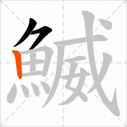 鰄