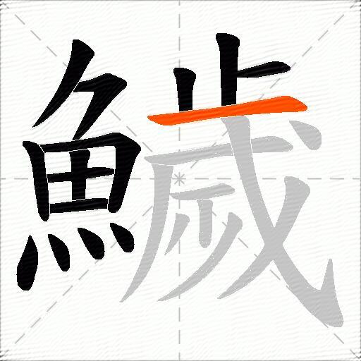 鱥