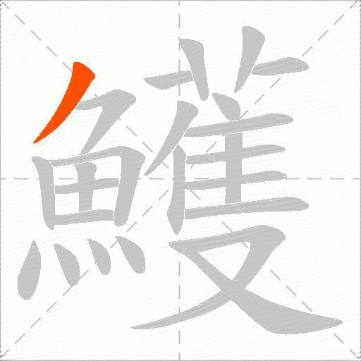 鱯