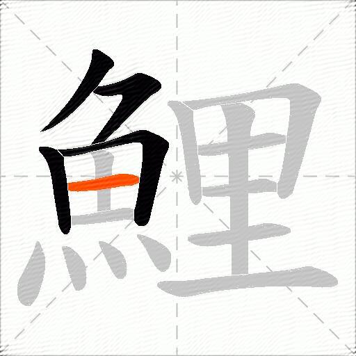鯉