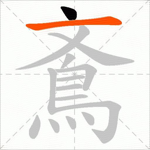 鴍