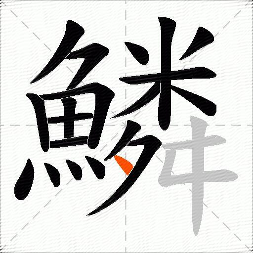 鱗