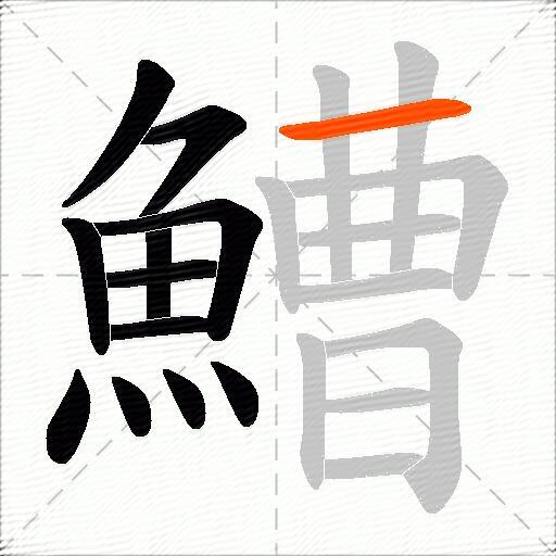 鰽