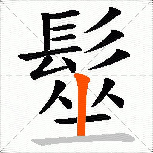 髽