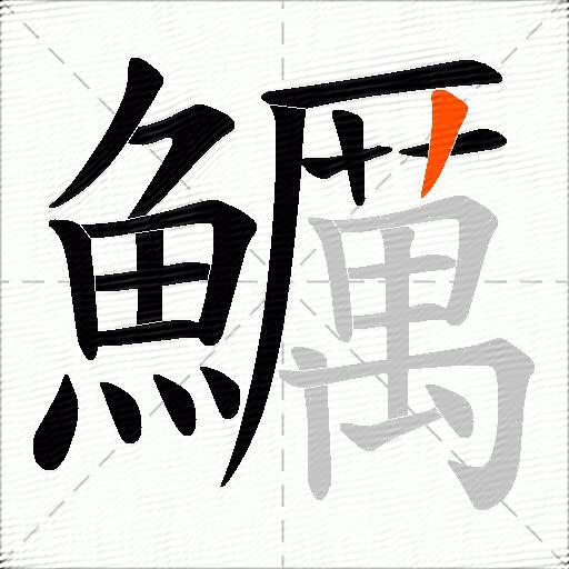 鱱