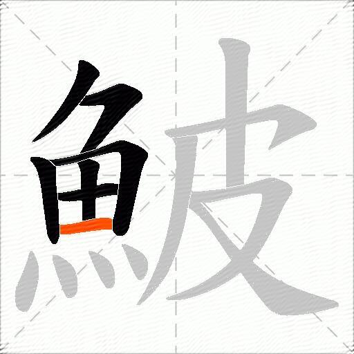 鮍