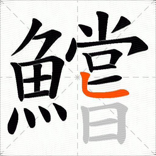 鱨