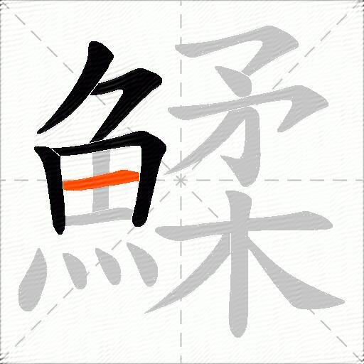 鰇