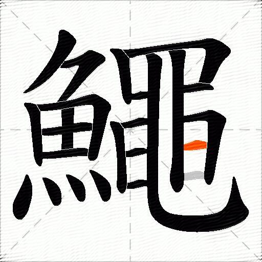 鱦