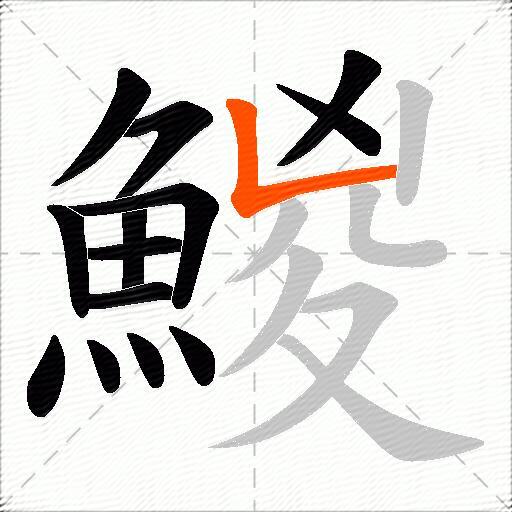 鯼