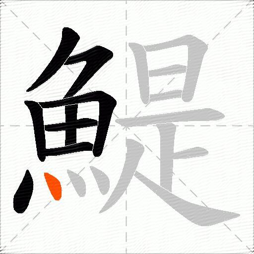 鯷