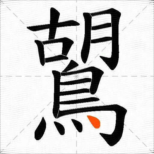 鶦